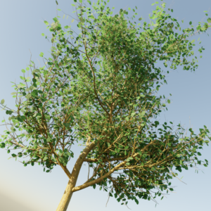 Simple Tree Generator with Geometry Nodes